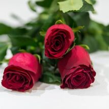 Rózsavarázs - 3 szál rózsa 1 alkalom