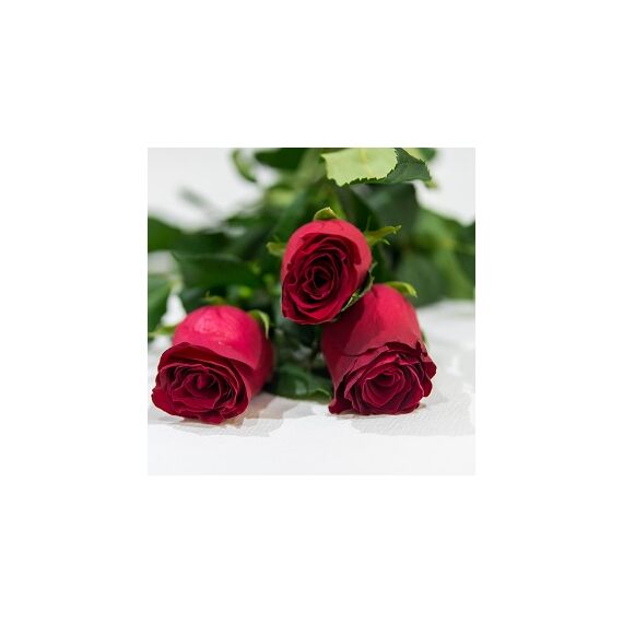 Rózsavarázs - 3 szál rózsa 1 alkalom